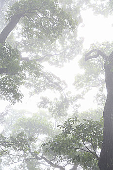 thống kê xổ số vũng tàu