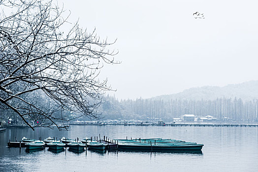 cầu bạch thủ long an